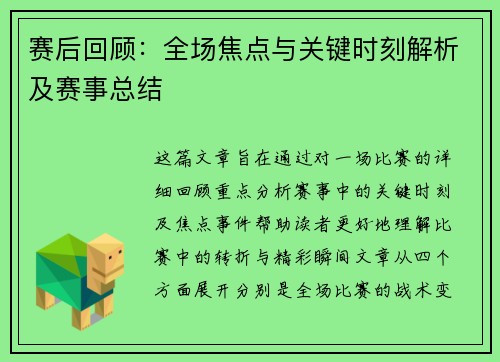 赛后回顾：全场焦点与关键时刻解析及赛事总结